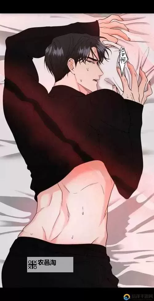 有车车的腐肉动画网站入口：全面指南与在线观看推荐图2