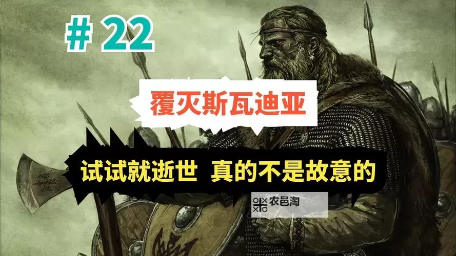 《骑马与砍杀战团》斯瓦迪亚王国步兵及骑兵等兵种浅谈图1