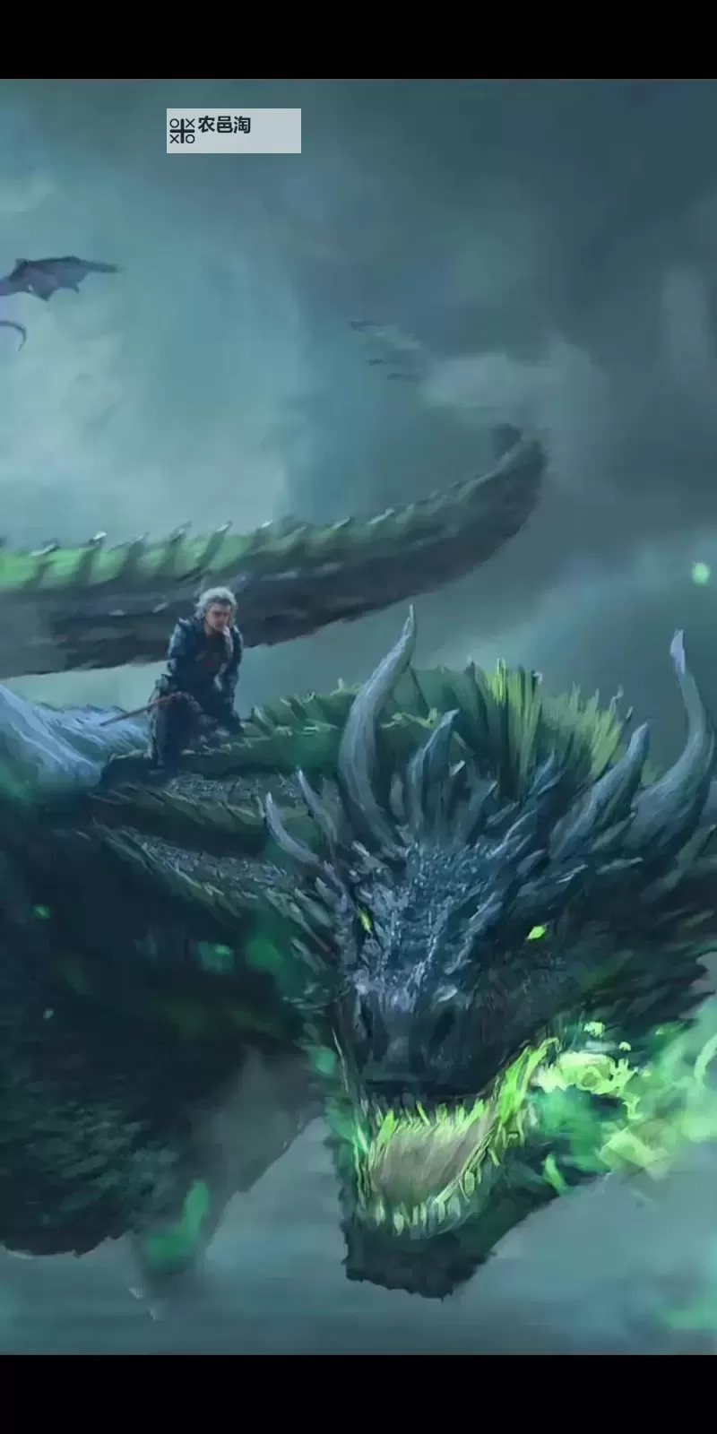 坐在黑的发紫的巨龙上吃饭：奇幻王国的盛宴体验图1