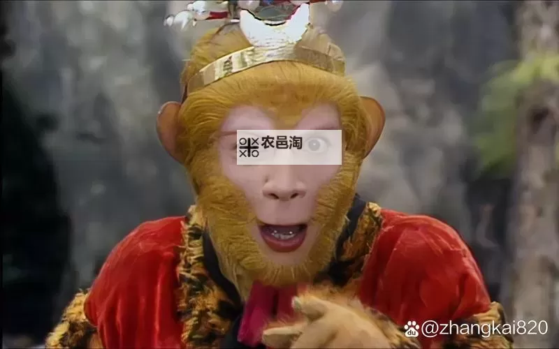 综琼瑶之祖孙斗：爱恨与命运的交织传奇图1