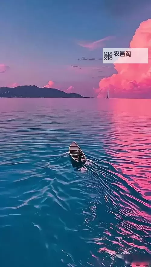 《艾尔登法环》帚星魔法获取方式介绍 帚星怎么获得图1