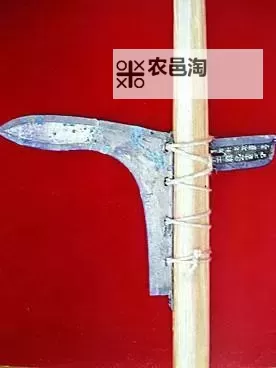 金戈铁马电脑版下载 电脑玩金戈铁马模拟器哪个好?图2