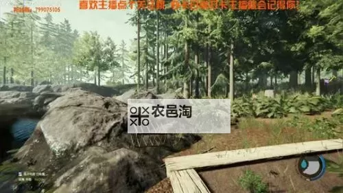 森林 食人族观察心得图1