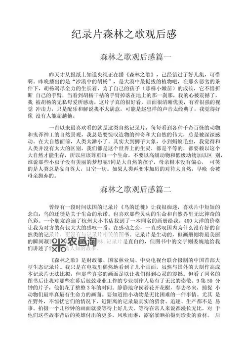 森林 食人族观察心得图2