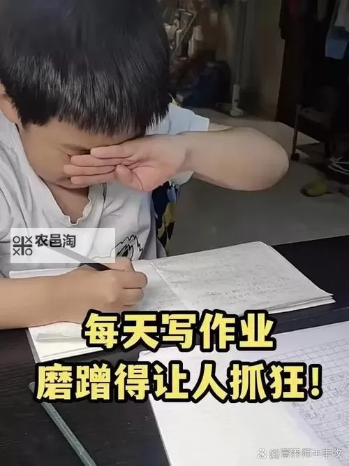 坐在学霸棍子上写作业：趣味中的学习点滴图1