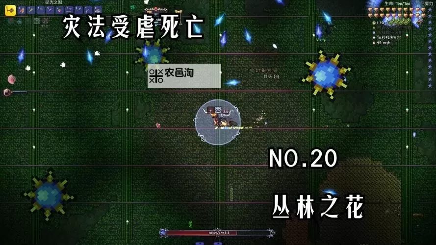 有没有纹章召唤双开软件推荐 深度解答如何双开纹章召唤图1