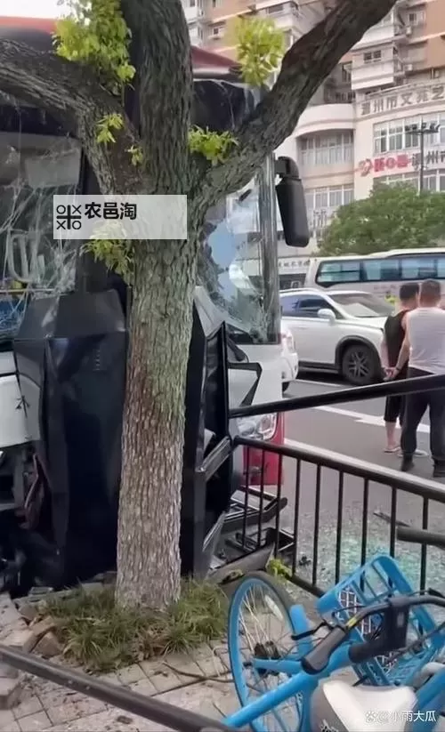 在公交车上被撞得一前一后:意外中的惊魂瞬间图1