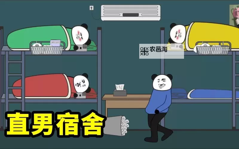 Chinese直男宿舍飞机:青春记忆中的奇幻冒险图1