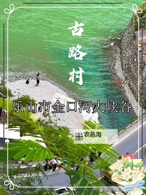 幽谷花径内的阻力突然减小引发的奇迹图1