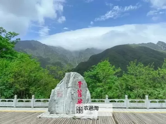 探索美食之魂:畅享滋味商洛H的独特魅力图1