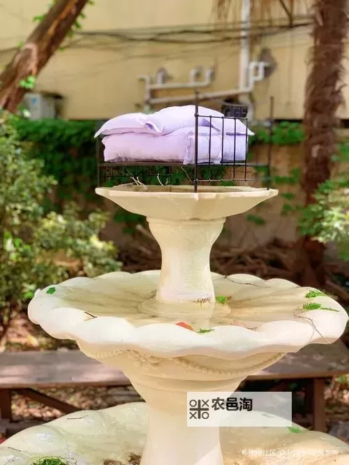 怎么把自己变成喷泉夹枕头：创造奇趣梦幻的变身秘籍图1