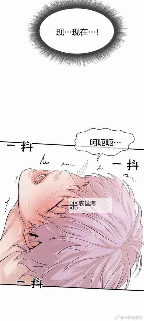 韩漫免费无羞遮无删漫画入口：全面畅享高清无限漫画体验图1