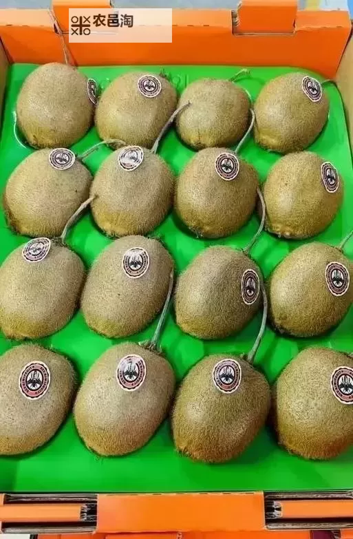 色蜂视频在线免费观看:最新在线观看无需付费的精彩内容推荐图1