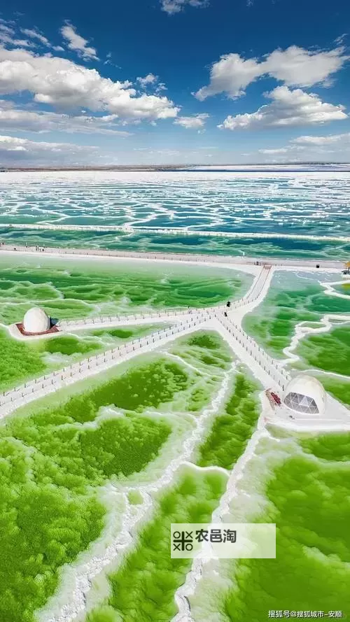 免费在线观看《久青大草原》，领略广袤草原的壮美风光图1