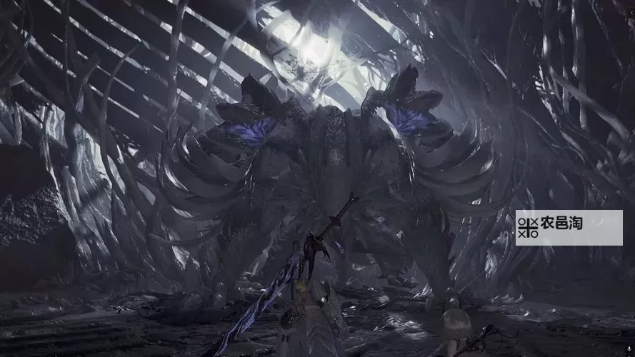 《怪物猎人荒野》白炽龙单人稳定打法攻略 白炽龙怎么打图1