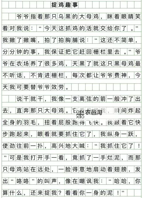 奇趣奇遇:我竟坐在学长的“鸡”上面写作文作业图1