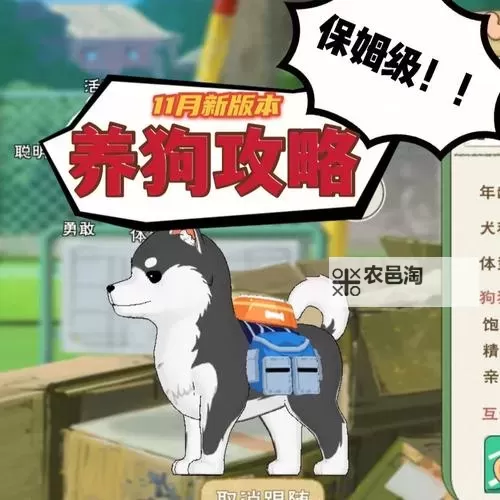 小森生活稀有狗怎么获取？  小森生活稀有伙伴兑换方法！图2