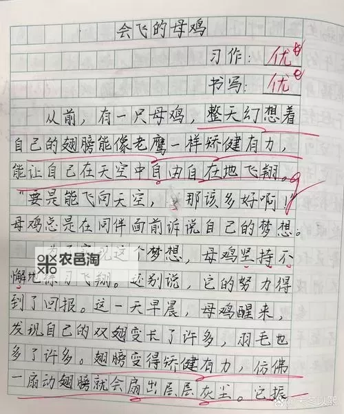 奇趣奇遇:我竟坐在学长的“鸡”上面写作文作业图2