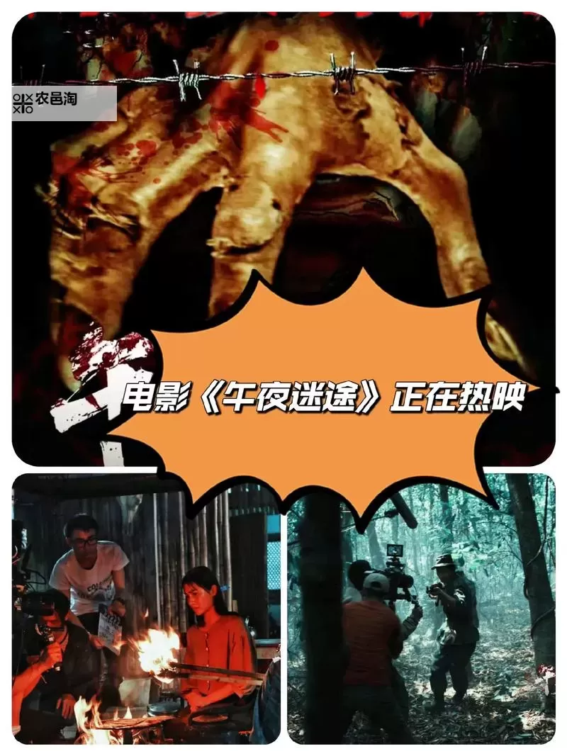 老司机午夜剧场:暧昧夜色下的精彩瞬间图1