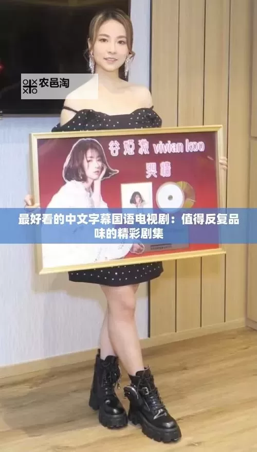 2023年度精选：最好看的中文字幕2018-2019全集推荐图1