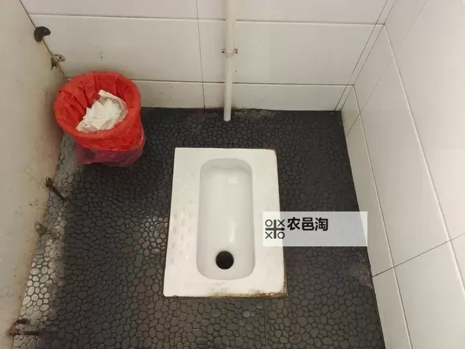 无水印高清沟厕:畅享清晰便捷的使用体验图1