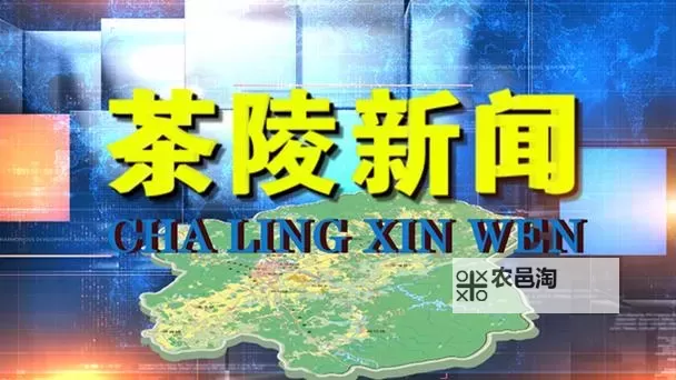 茶陵91：茶陵在线播放畅享高清影视新体验图1