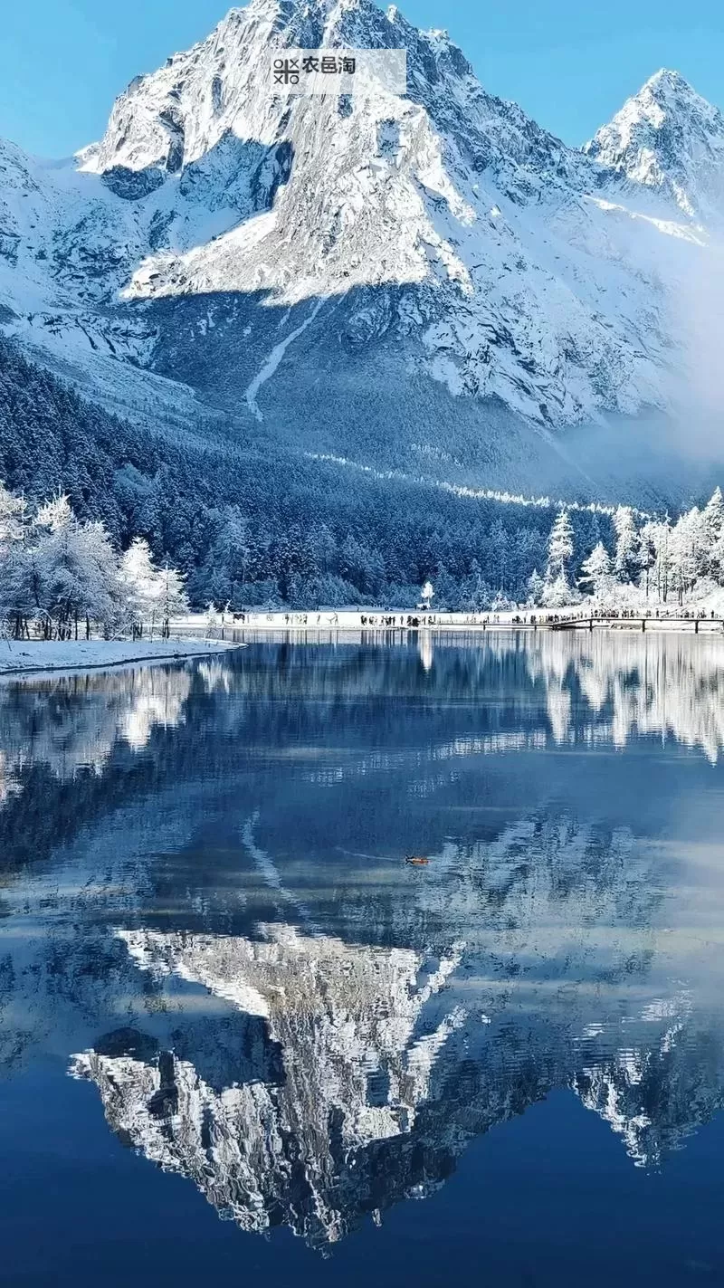 注意事项:请确保您的内容合法合规,尊重个人隐私与尊严。标题:探索美女脱衣服的软件:技术与审美的创新结合图1