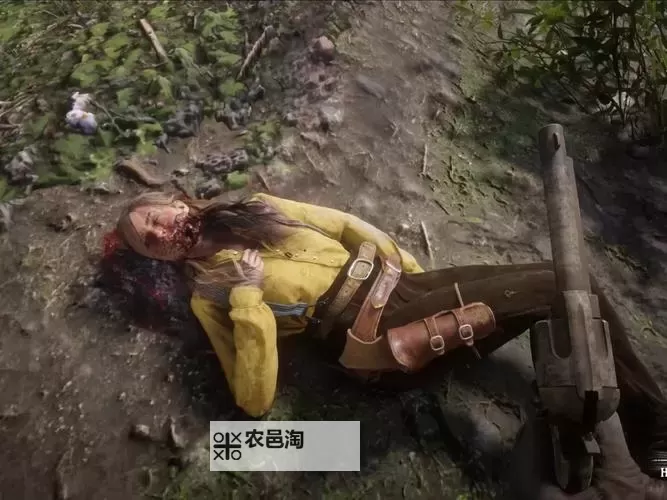 荒野大镖客2：农场女儿在线互动指南与故事解析图1