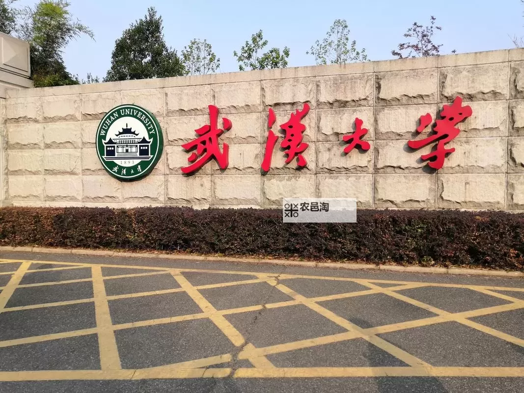 中国麻将大学:开启麻将文化的智慧殿堂图1