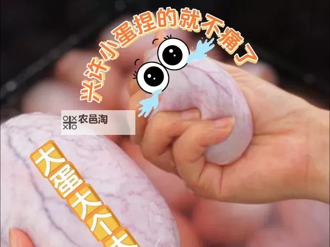 趣味无限：男女耍蛋的欢乐时光图1