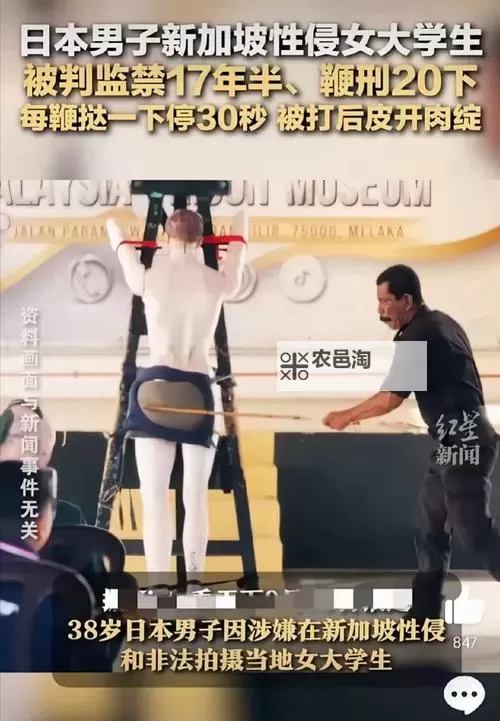 自己转过去趴下,PG抬起来竹尺:奇趣瞬间的瞬间捕捉图1