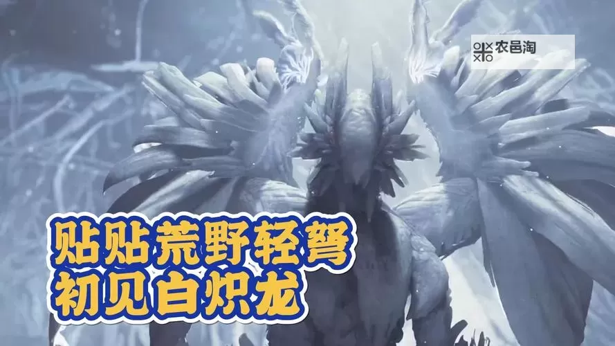 《怪物猎人荒野》坦克重弩配装分享 白炽龙10分台演示图1