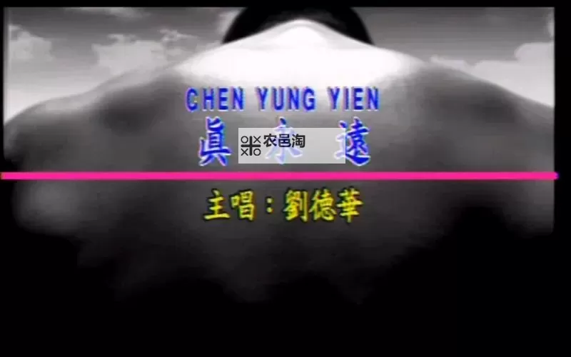 《永远视频在线免费观看：畅享无限精彩内容的最佳指南》图1