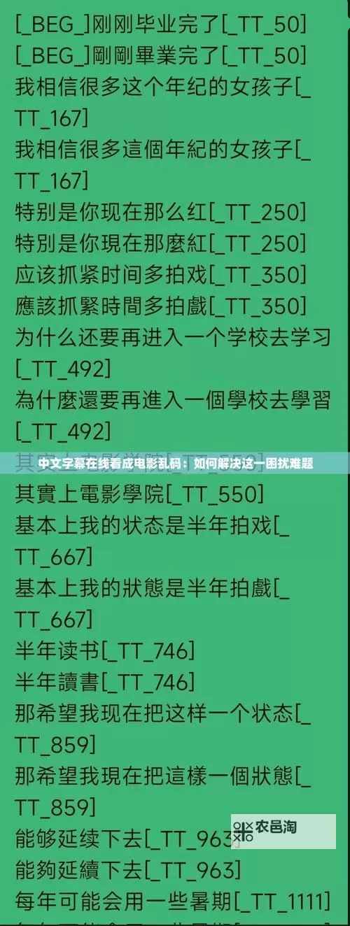 关于2019年中文字字幕在线中文乱码问题解析与解决方案图1