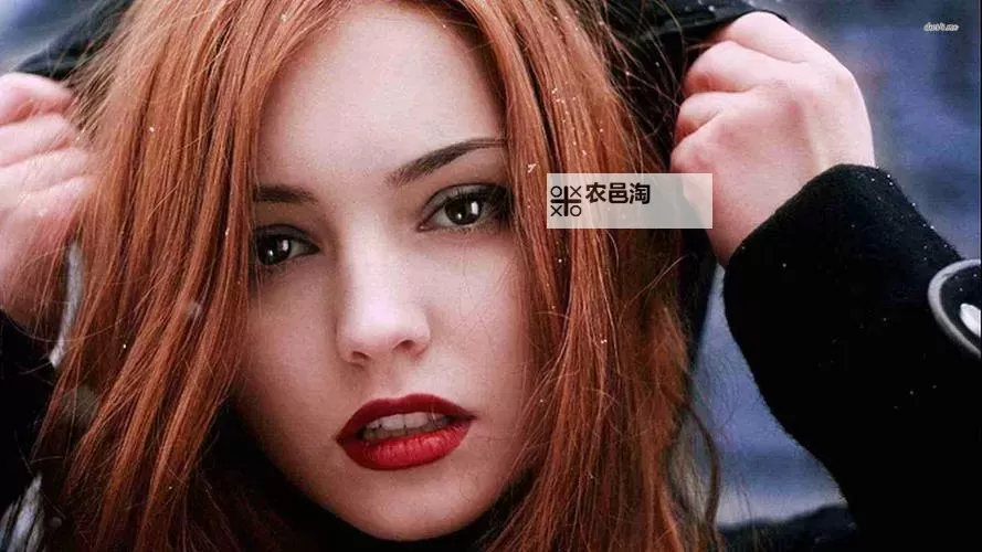 蘑菇视频成人版：最新内容介绍与使用指南图2