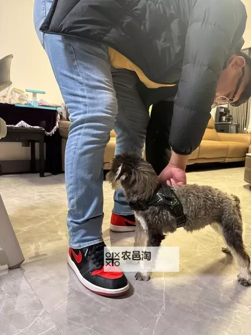 打造完美AJ：做AJ的技巧视频教程图片高清全攻略图1