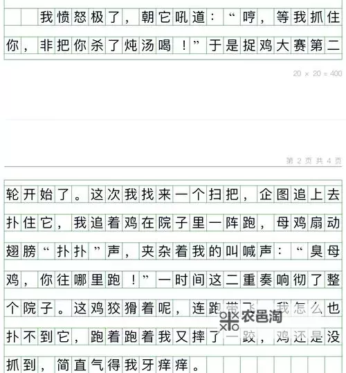 奇趣瞬间:我竟然坐在学长鸡上面写作文作业图1