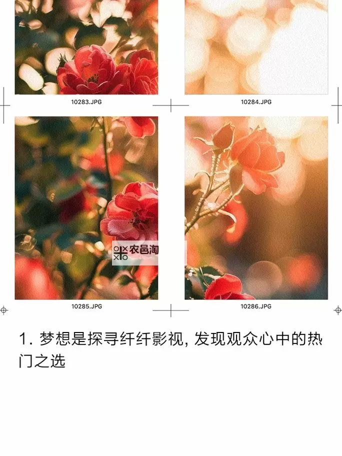 纤纤影视呈现加山之美，优美画面尽显自然风情图1