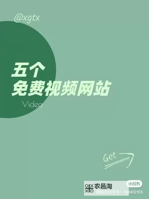 2024年最新免费的视频网站入口推荐及使用指南图1