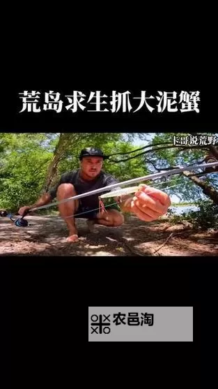 荒岛求生 烤螃蟹方法图1