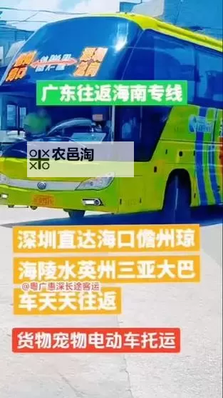 长途汽车的最后一排他要了:令人意想不到的旅途插曲图2