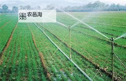 《方舟生存进化》水利灌溉与管道架设心得图1