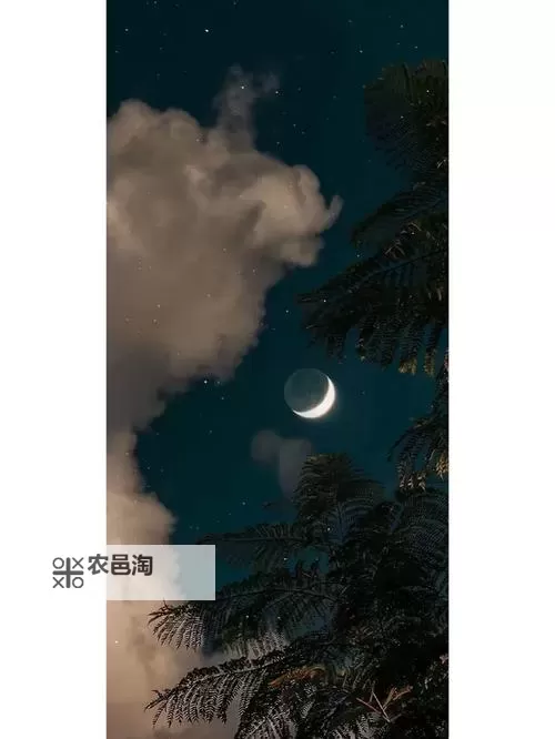 圆缺1V1沈霜：命运交错的唯一对决图1