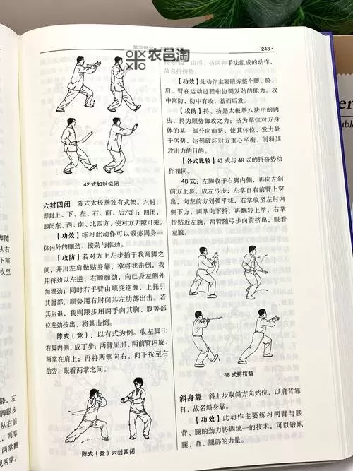 《侠客风云传》太极拳获得方法 太极拳怎么学图1