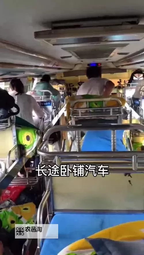 长途汽车的最后一排他要了:令人意想不到的旅途插曲图1