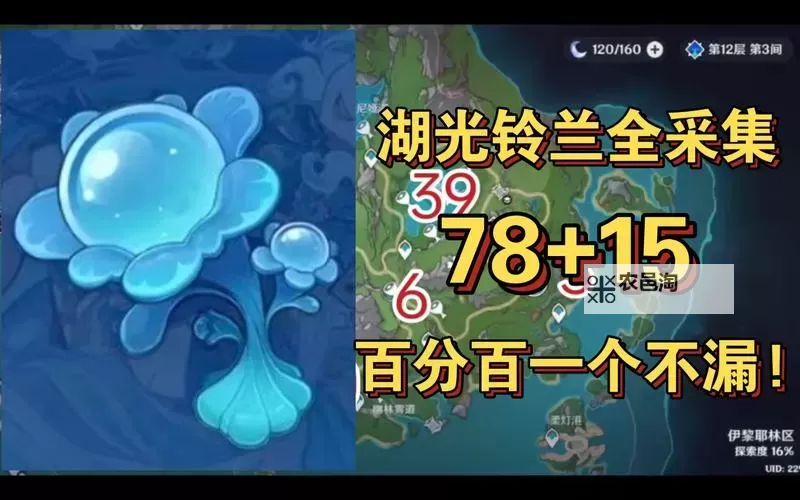 《原神》93个湖光铃兰收集路线分享图1
