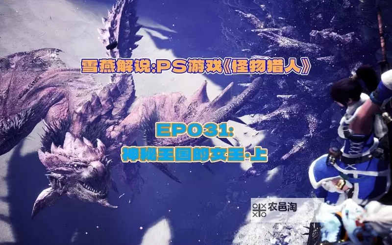 《怪物猎人荒野》女王花的蛊惑粉位置及获取方法 女王大花草在哪图2