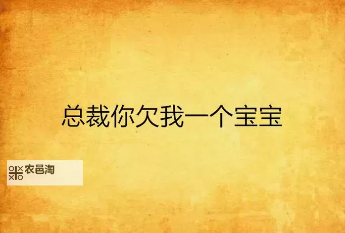 总裁借我一个宝宝：爱情与家庭的温暖交织图1