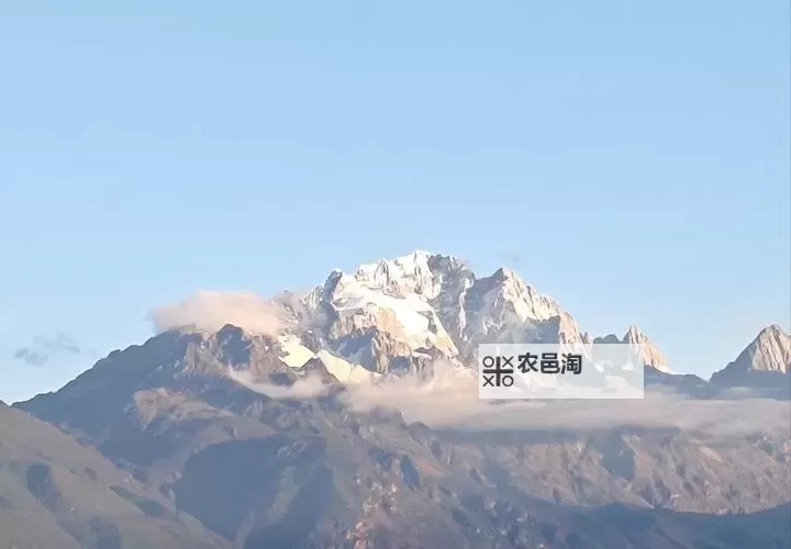 少年锦衣卫电脑版下载 最全少年锦衣卫电脑版攻略图1