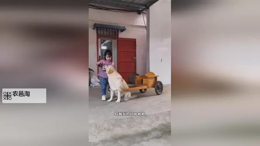 揭秘x7x7x7成人:最新娱乐趋势全解析图1